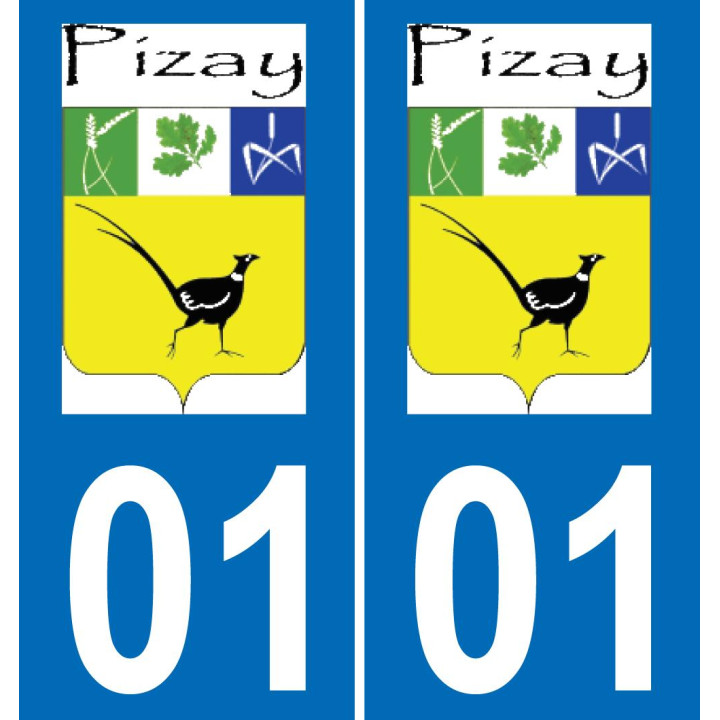01 Pizay logotipo de la etiqueta engomada de la placa de registro de la ciudad