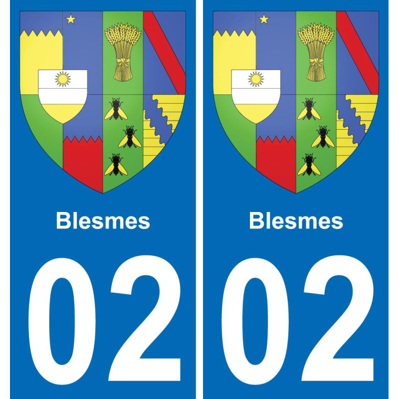 02 Blesmes adesivo piastra di registrazione city