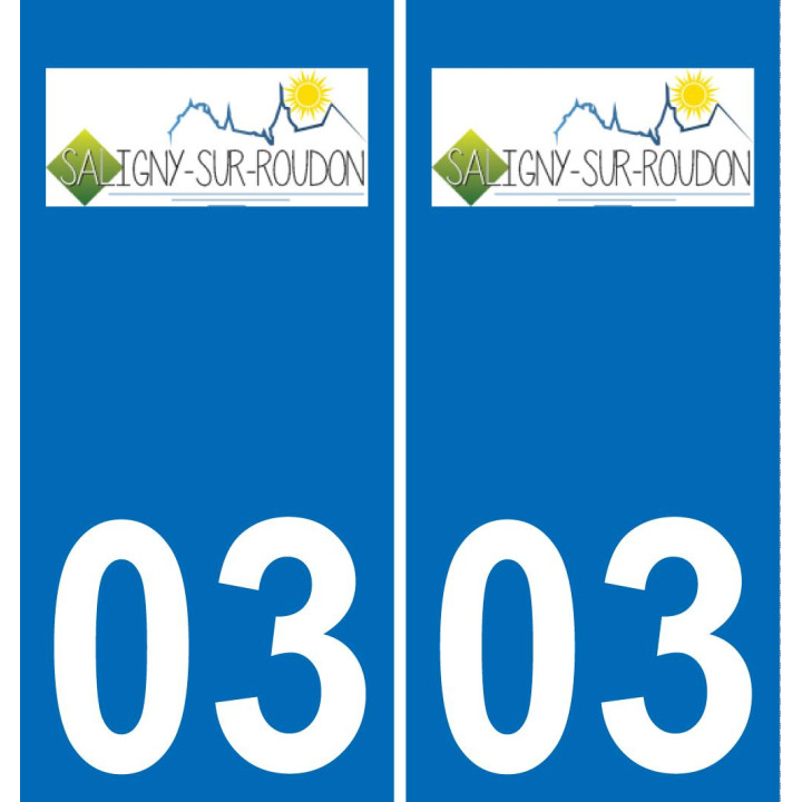 03 Saligny-sur-Roudon logotipo de la etiqueta engomada de la placa de registro de la ciudad