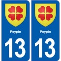 13 Peypin logo ville autocollant plaque sticker