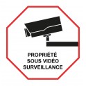 Etiqueta engomada de la propiedad bajo la vigilancia de vídeo logo9 alarma