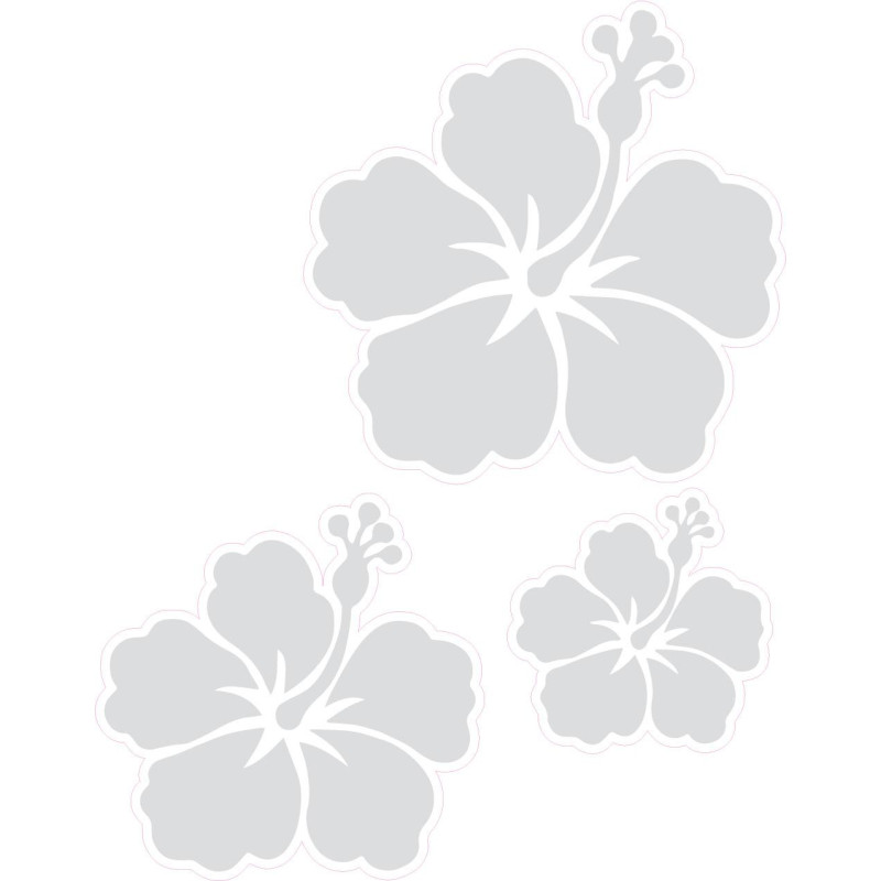 3 fleurs hibiscus autocollant sticker logo1