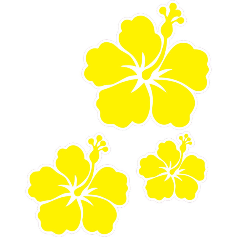 3 fleurs hibiscus autocollant sticker logo1