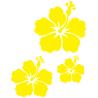 3 fleurs hibiscus autocollant sticker logo1