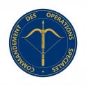 logotipo de groland etiqueta engomada de la etiqueta engomada adhesiva GRD