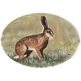 logo groland aufkleber kleber sticker GRD