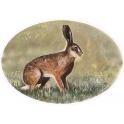 lapin autocollant ovale animaux sticker logo189