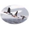 Trio d'oiseau vol mer ovale autocollant sticker logo358