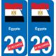 Egipto mapa de la bandera de la etiqueta engomada de la etiqueta engomada de la placa de matriculación