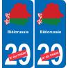 Bielorussia mappa bandiera adesivo adesivo targa di immatricolazione