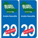 Arabia Saudita mappa bandiera adesivo adesivo targa di immatricolazione