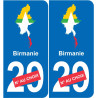 Birmania mapa de la bandera de la etiqueta engomada de la etiqueta engomada de la placa de matriculación