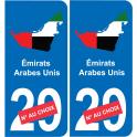 Emirati Arabi Uniti mappa bandiera adesivo adesivo targa di immatricolazione