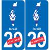 israel mapa de la bandera de la etiqueta engomada de la etiqueta engomada de la placa de matriculación