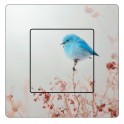 Stickers oiseau sticker autocollant interrupteur