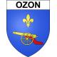 Baron 54 ville sticker blason écusson autocollant adhésif