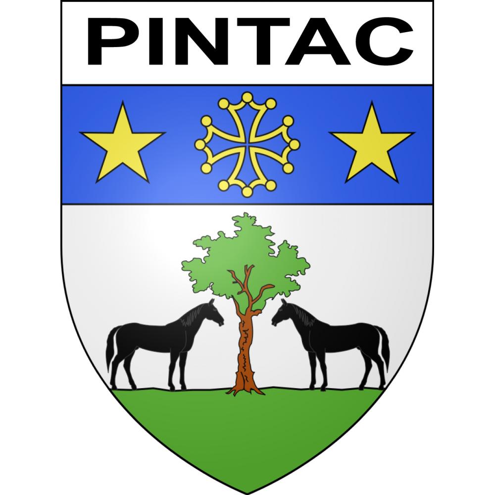 Pegatinas escudo de armas de Pintac adhesivo de la etiqueta engomada