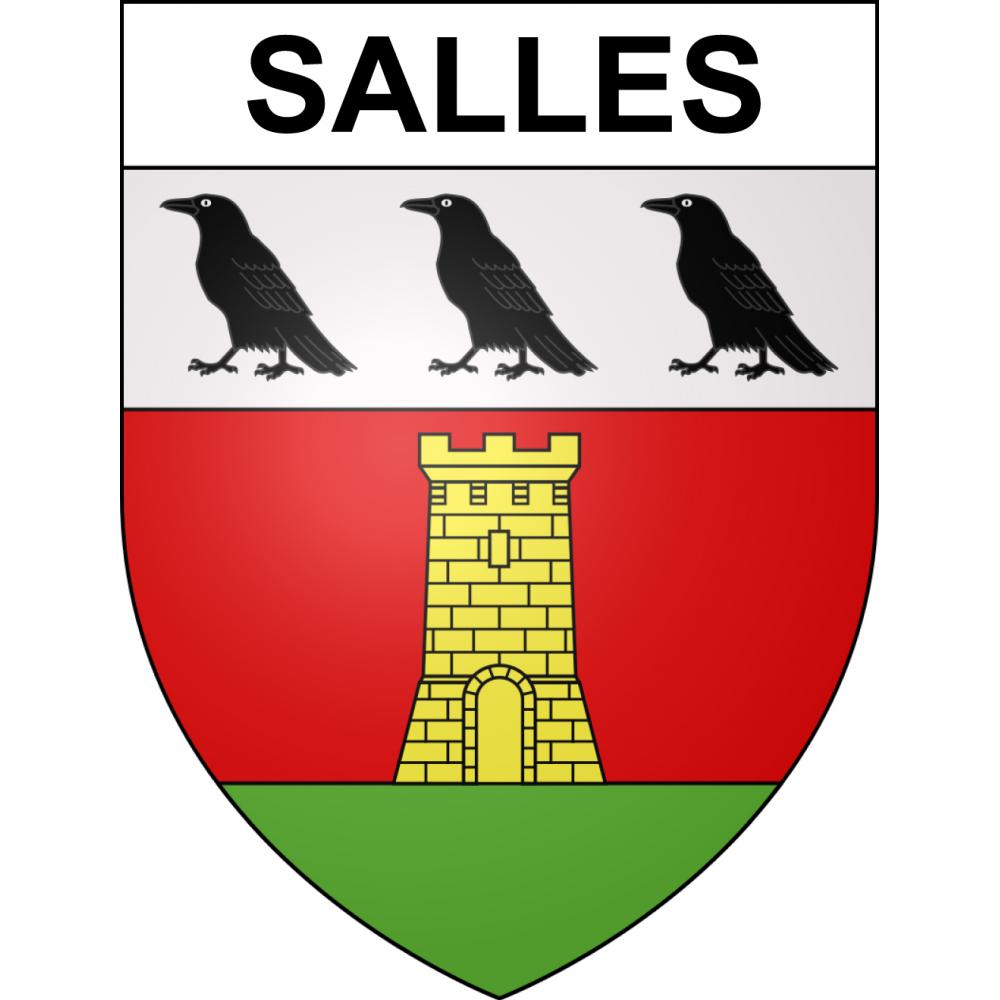 Salles 65 ville sticker blason écusson autocollant adhésif