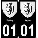 01 Belley placa etiqueta de registro de la ciudad