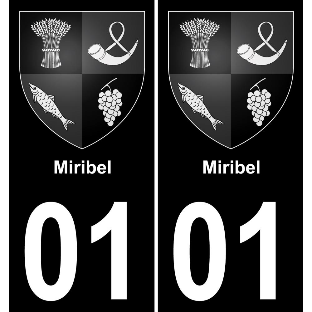 01 Miribel placa etiqueta de registro de la ciudad