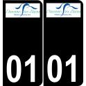 01 Divonne-les-Bains logo autocollant plaque immatriculation auto ville sticker
