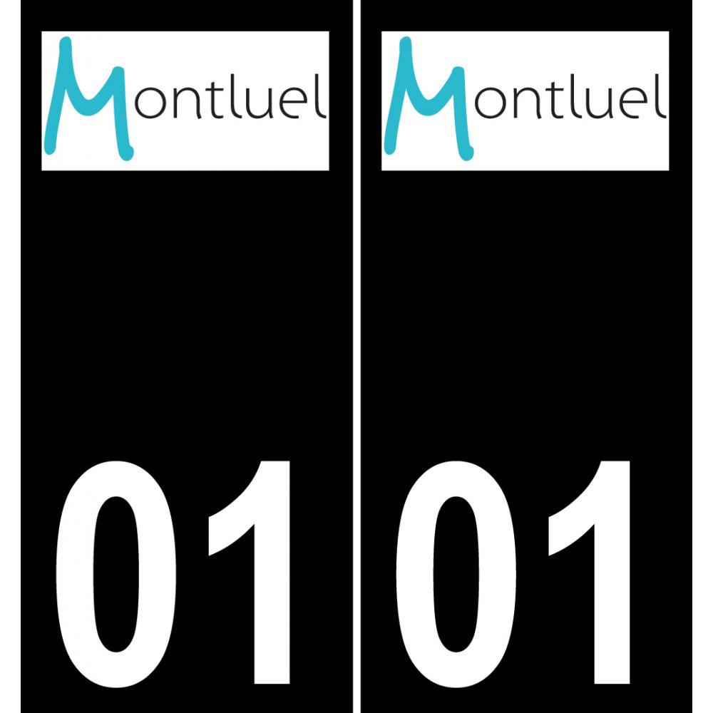 01 Montluel logotipo de la etiqueta engomada de la placa de registro de la ciudad