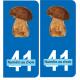 Champignon cèpes simple voiture choix plaque immatriculation autocollant sticker logo83