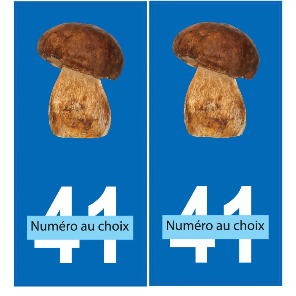 64 Pau placa etiqueta de registro de la ciudad