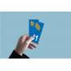 64 Pau sticker plate registration city