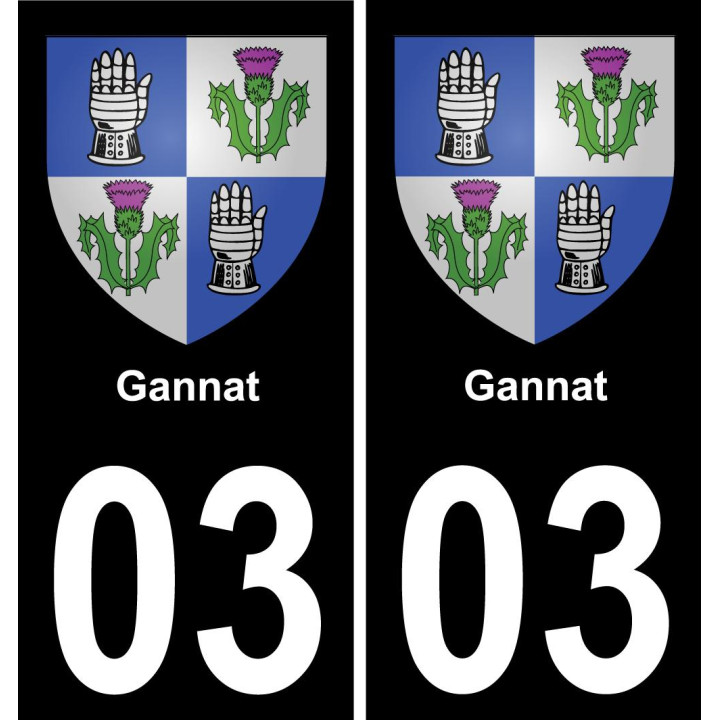 03 Gannat placa etiqueta de registro de la ciudad