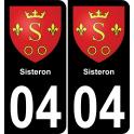 04 Sisteron placa etiqueta de registro de la ciudad