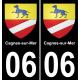 64 Pau autocollant sticker plaque immatriculation auto ville