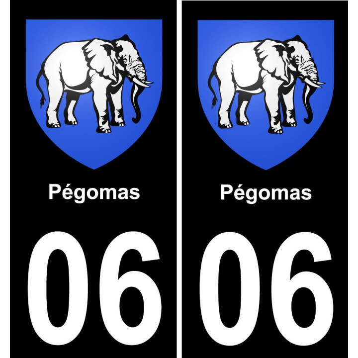 06 Pégomas placa etiqueta de registro de la ciudad