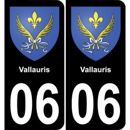 06 Vallauris placa etiqueta de registro de la ciudad