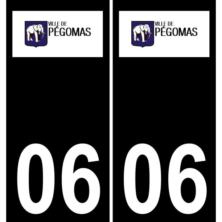 06 Pégomas logotipo de la etiqueta engomada de la placa de registro de la ciudad