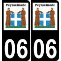 64 Pau logo autocollant plaque immatriculation auto ville sticker