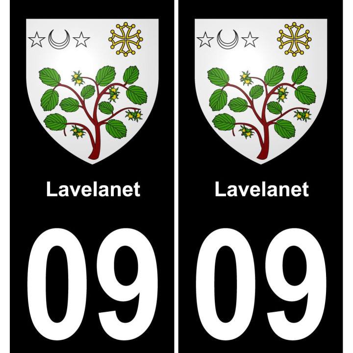 09 Lavelanet sticker plate registration city