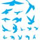17 autocollants oiseaux 4455 autocollant sticker