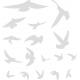 17 autocollants oiseaux 4455 autocollant sticker