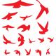 17 autocollants oiseaux 4455 autocollant sticker