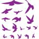 Tinkerbell sticker stickers