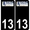 13 Salon-de-Provence logotipo de la etiqueta engomada de la placa de registro de la ciudad fondo negro