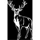 Autocollant Cerf stickers adhesif animal cervidé