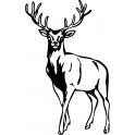 Etiqueta engomada de la Ciervos pegatinas adhesivo pet deer logo 3