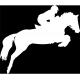 Autocollant Cheval stickers adhesif horse