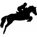 Decal Horse stickers adhesive horse rider