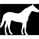 Autocollant Cheval stickers adhesif animal