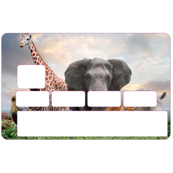 logotipo de groland etiqueta engomada de la etiqueta engomada adhesiva GRD
