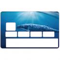 Autocollant Baleine numéro 15 carte bleue carte bancaire CB adhésif sticker logo 15