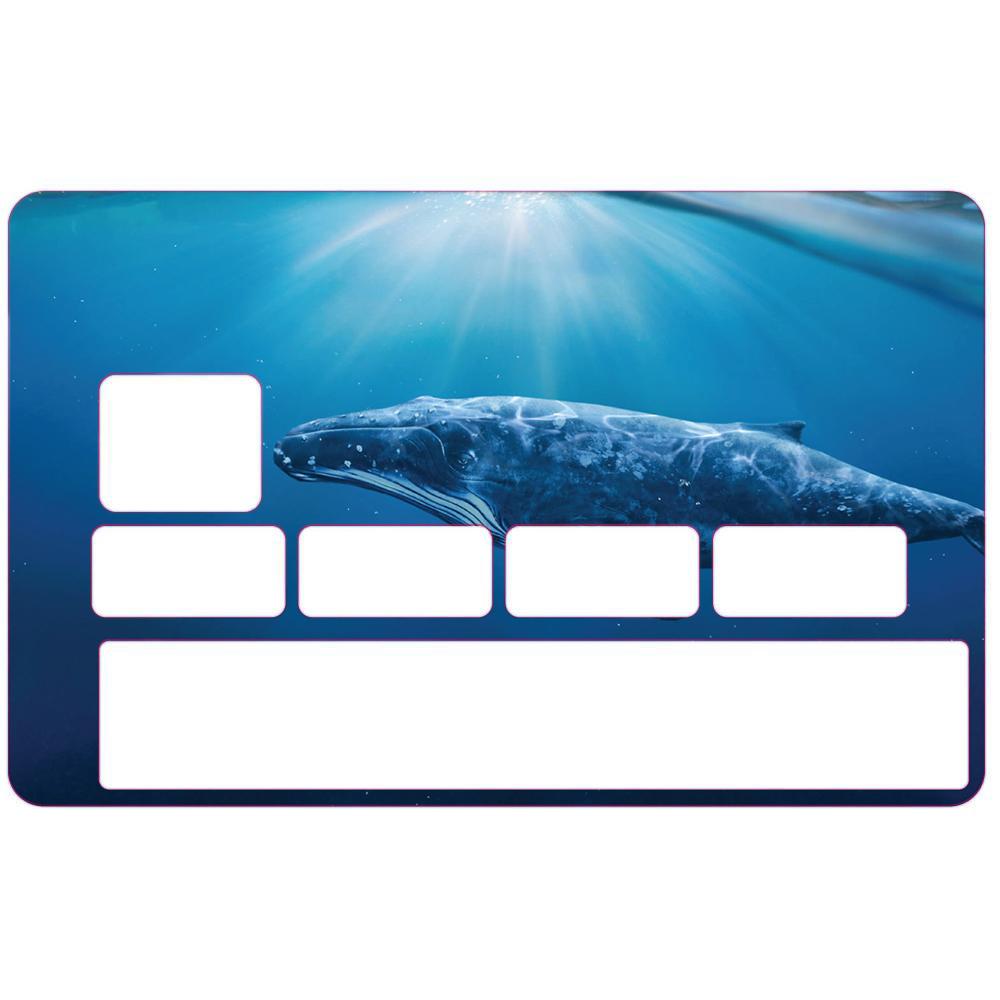 Autocollant Baleine numéro 15 carte bleue carte bancaire CB adhésif sticker logo 15